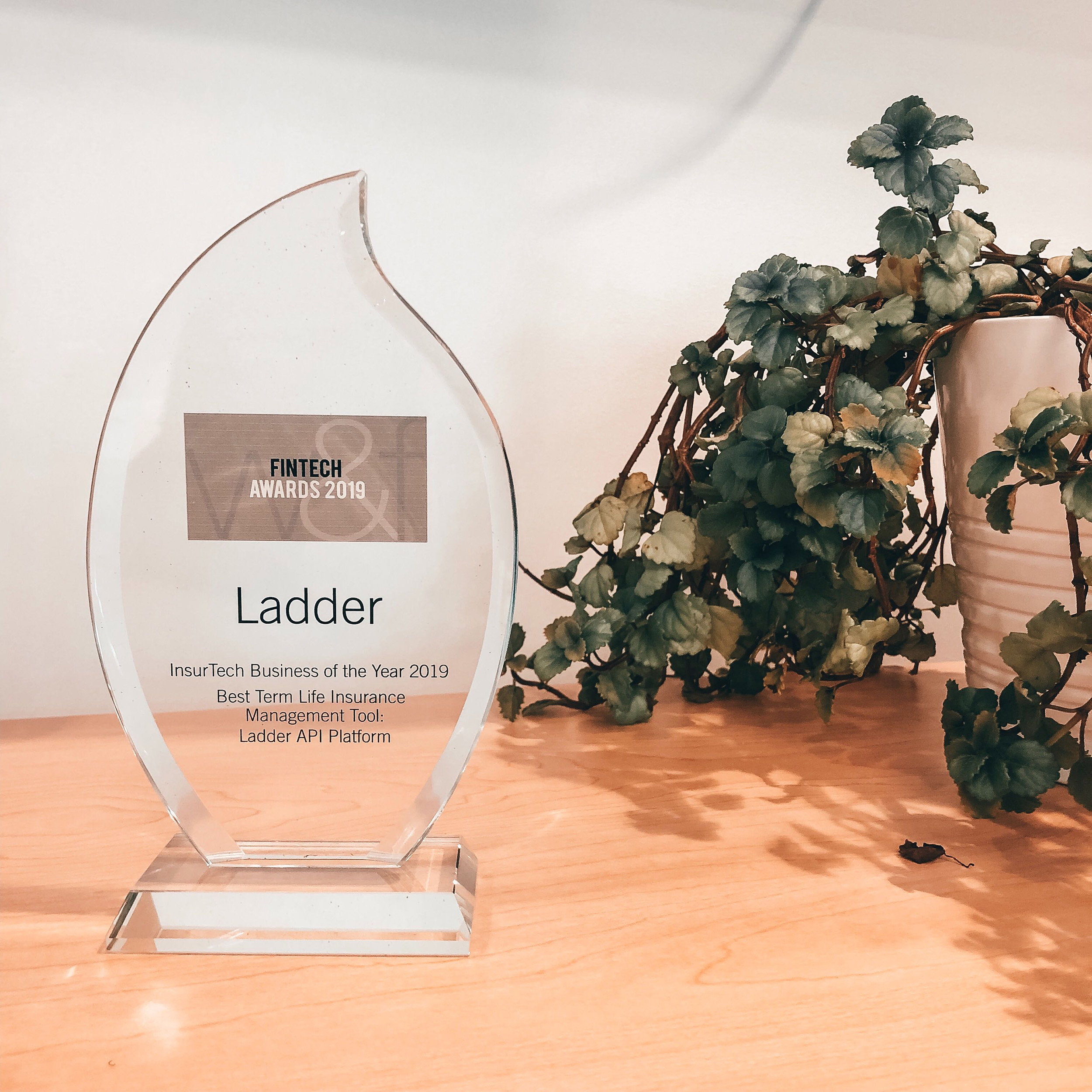 Ladder FinTech Award 2019 - InsurTech Business of the Year 2019 - Best Term Life Insurance Management Tool: Ladder API Platform