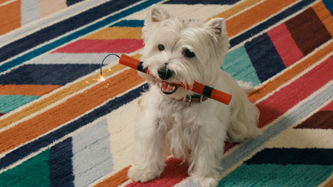 Ladder Releases Debut Brand Campaign Designed To Reach New Generation Ladder Releases Debut Brand Campaign Designed To Reach New Generation